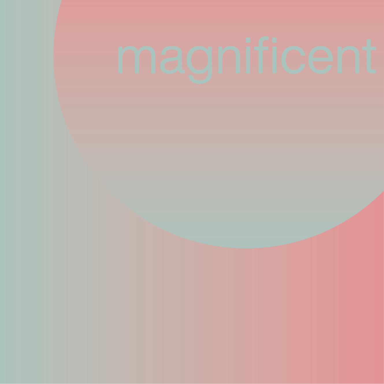 MAGNIFICENT  MAGNIFICENT