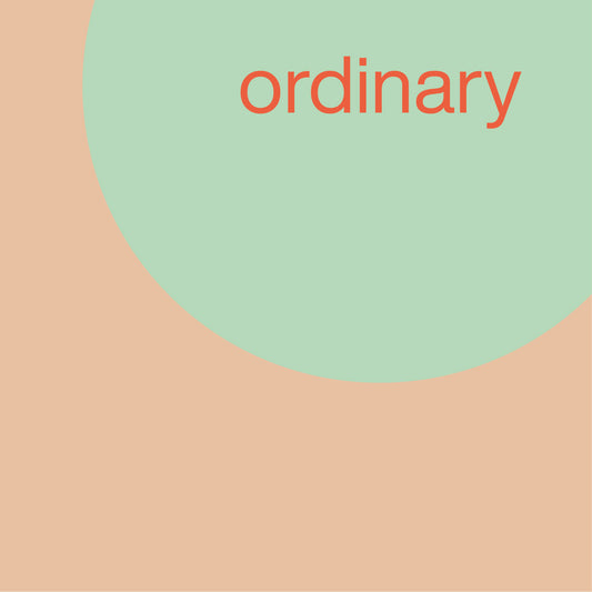 ORDINARY ORDINARY