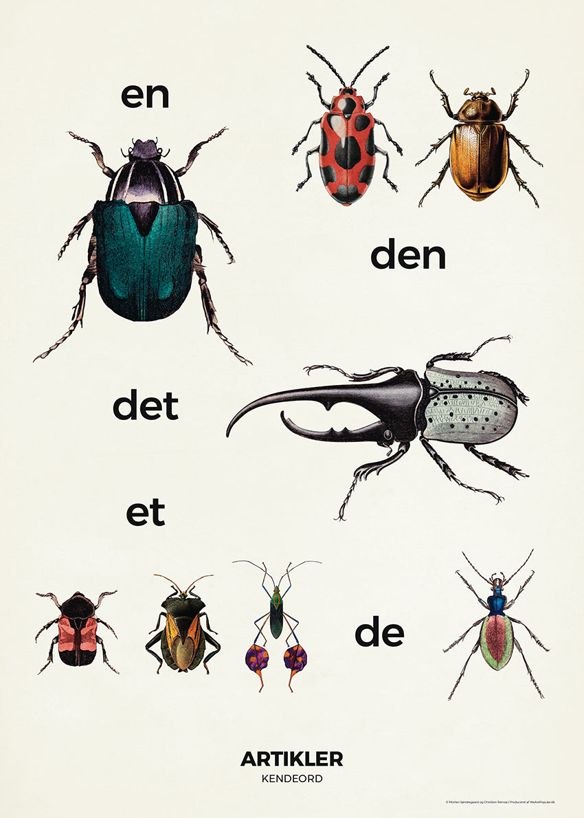 Plakat med ordklasser. Designet af Ramsø. Denne plakat er en del af Ordapoteket som er udviklet i samarbejde med forfatter Morten Søndergaard.