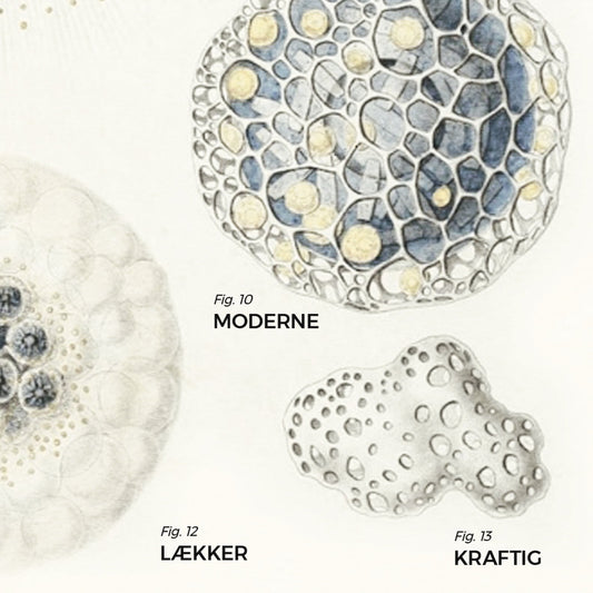 ADJEKTIVER ADJEKTIVER