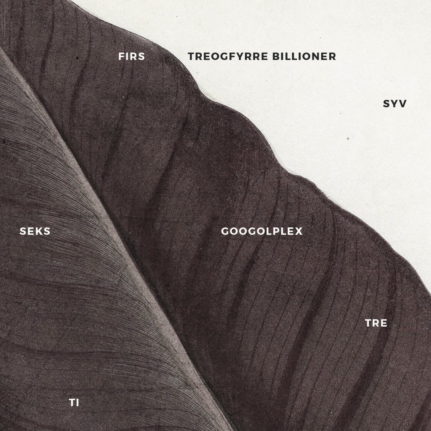 NUMERALIER NUMERALIER