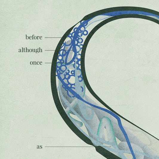 CONJUNCTIONS CONJUNCTIONS