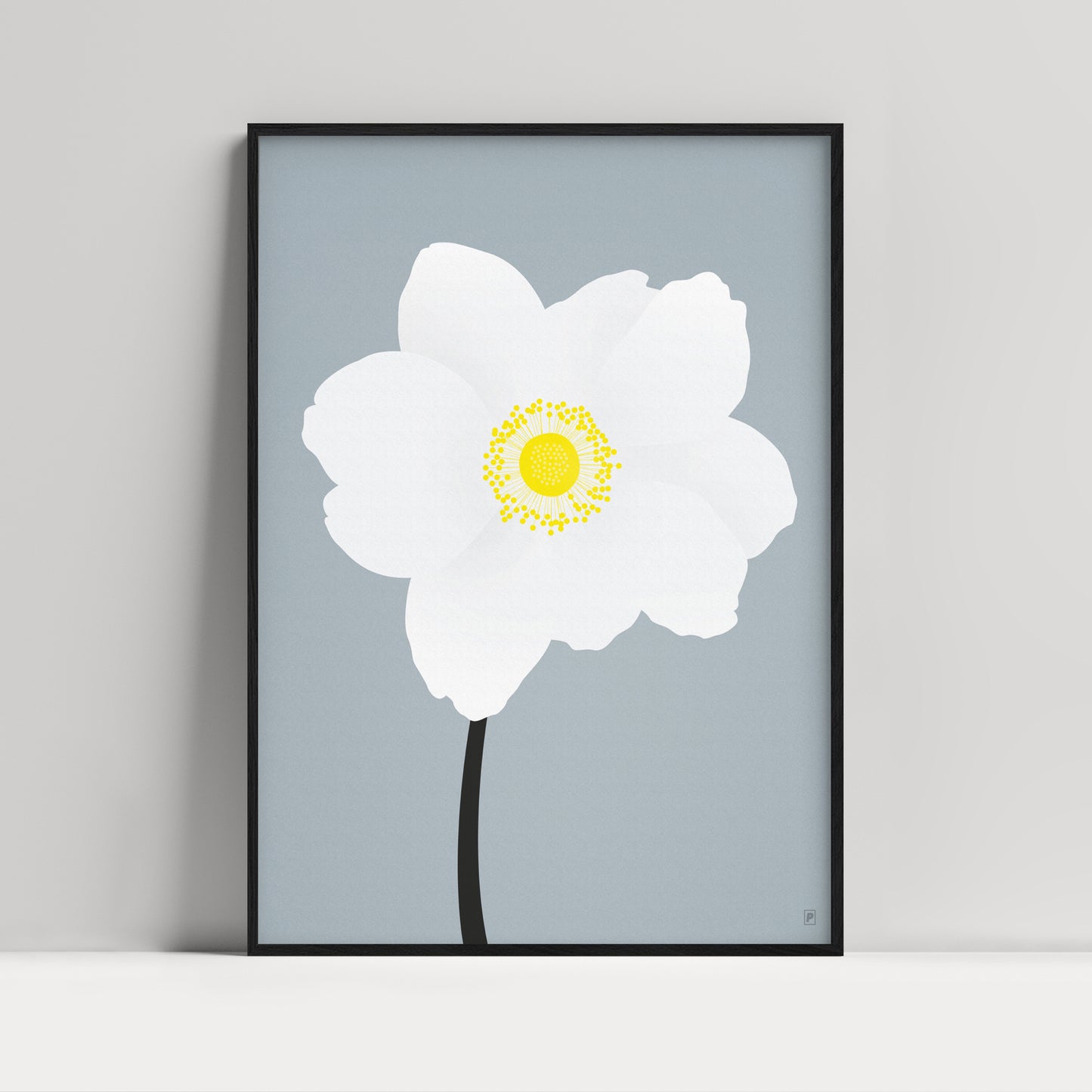 Anemone