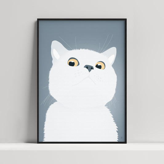 Nobody owns a cat  Nobody owns a cat