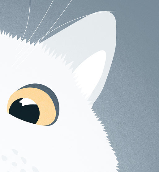 Nobody owns a cat  Nobody owns a cat