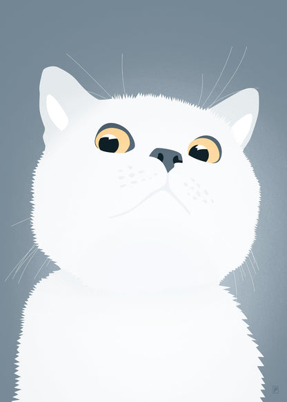 Nobody owns a cat  Nobody owns a cat
