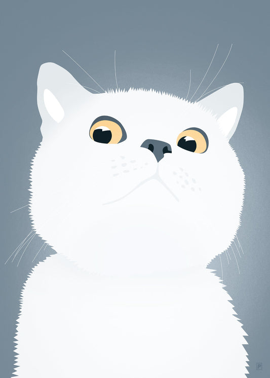 Nobody owns a cat  Nobody owns a cat